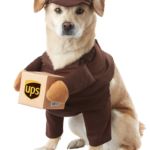 ups dog costume