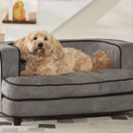dog sofa