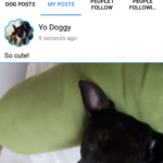 Screenshot_20180104-205543