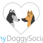 dog social app