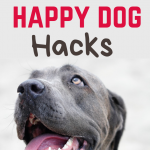 happy dog hacks