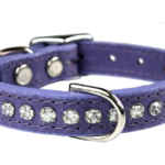 crystal dog collar 2