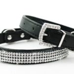 crystal dog collar 4