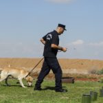 Opioid crisis Affecting Police Dogs. Here's The Sad Reality