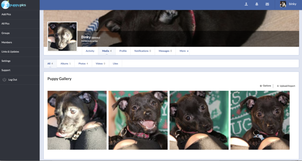 facebook for dog lovers