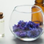 10+ Safe Essential Oils for Dogs: Allergies, Hot spots, Arthritis, Calming