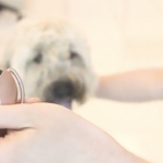 A Smartphone for Dogs? Yes, For Real.
