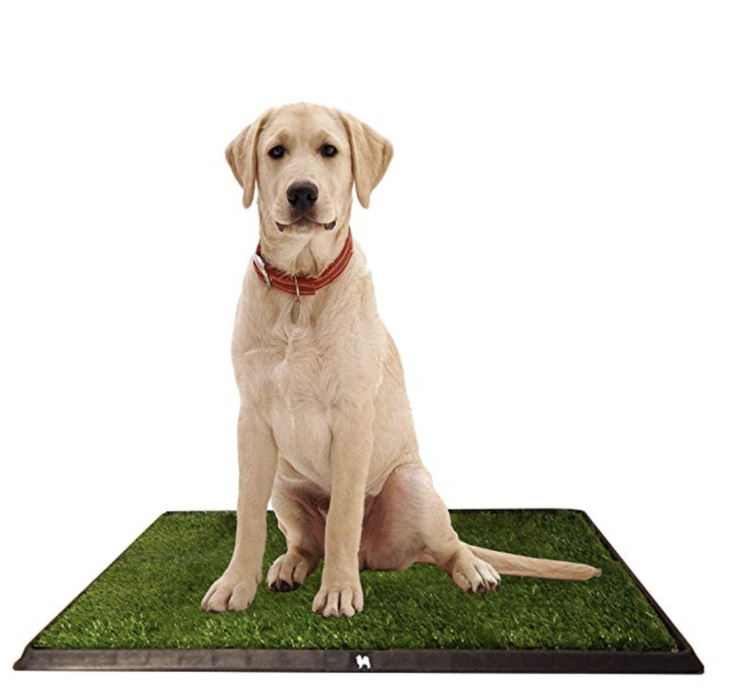 8 Products for Easier Dog Poop Pick Up YoCanine