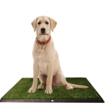 Dog Poop Pick Up 3