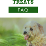 Hemp Dog Treats