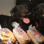 dog birthday party 5
