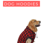 dog hoodies
