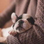 dog loves you 4