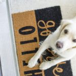 dog loves you 5