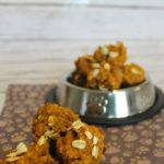 dog pumpkin recipe 2