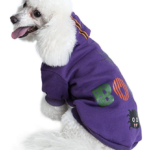 dog sweater hoodie 3