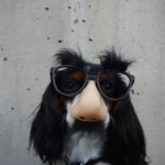 ridiculous dog names 2