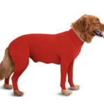 1 Dog Christmas Onesie