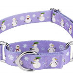 Christmas Dog Collars