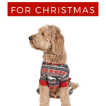 Dog Christmas Onesie