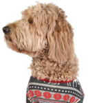 Dog Christmas Onesie