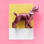 Funny Christmas Dog Quotes for Your Cards