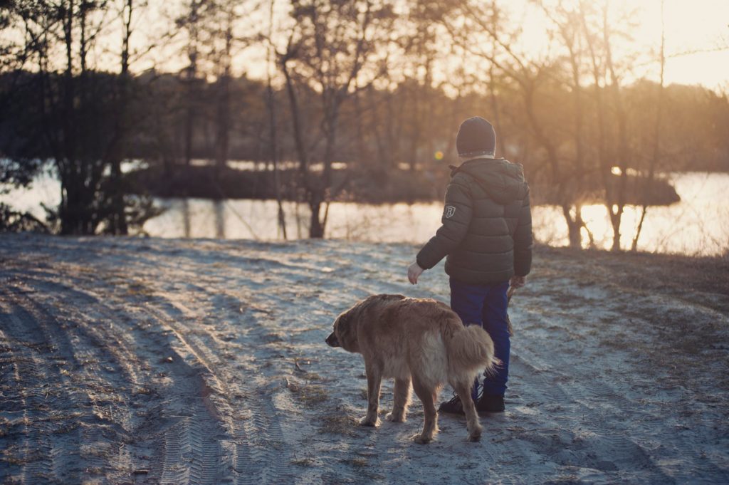 What to Buy Your Dog Walker for Christmas