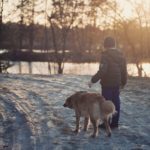 What to Buy Your Dog Walker for Christmas: Gift Guide and Free Options
