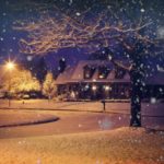 dog christmas activities 9