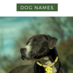 gangster dog names