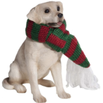 magical christmas ornaments dog 2