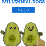 Millennial Dog