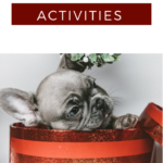 dog activities