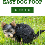 easy Dog Poop Pick Up