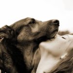 11 Dogs help with heartbreak, dog mental health facts
