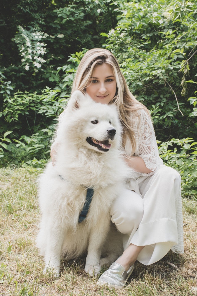 7 Dogs help with heartbreak, dog mental health facts