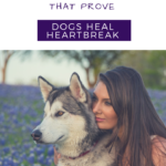 Dogs help with heartbreak, dog mental health facts