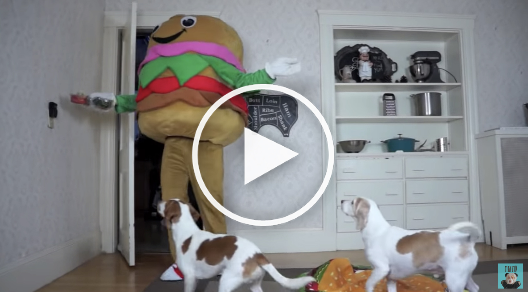 giant burger dog video