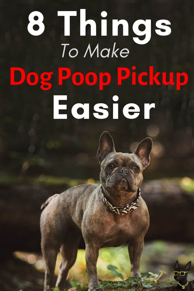 8 Products for Easier Dog Poop Pick Up YoCanine