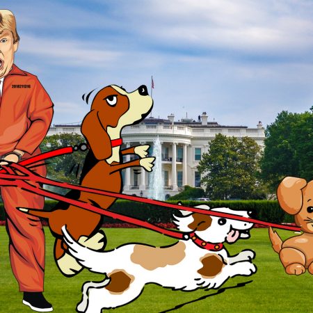 Trump Admits He’s Too Phony to Have Dogs. We Agree.