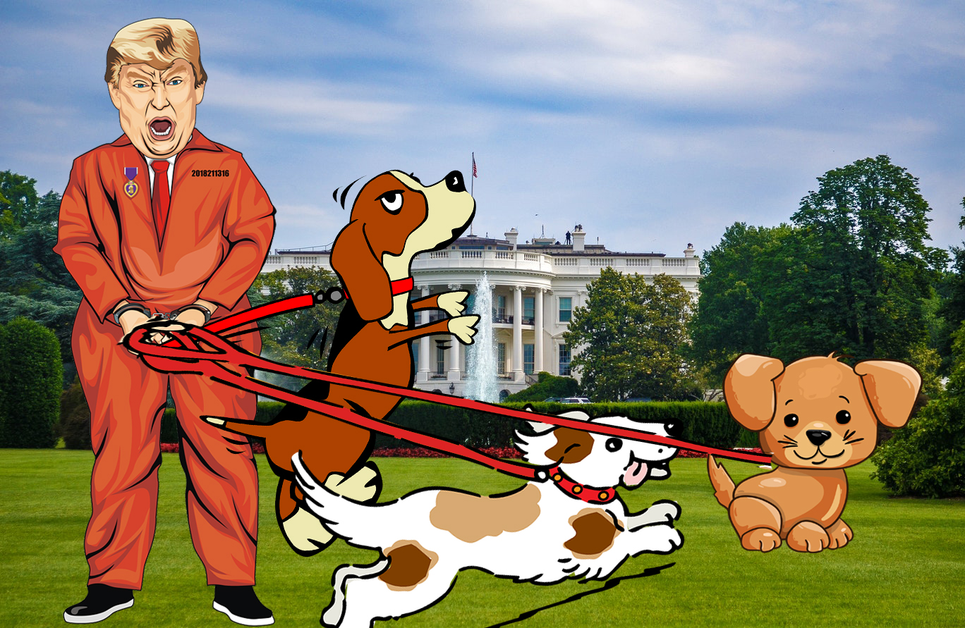 trump dogs