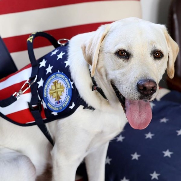 president bush dog, dog hero award