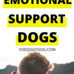 emotional support dog