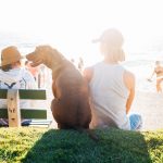 Bored? 5 Summer Adventure Ideas for You and Your Dog