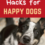 happy dog hacks