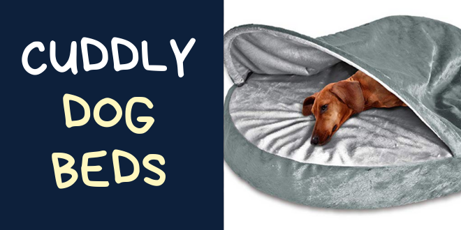 luxury dog beds amazon