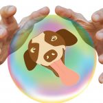 Q & A with a Dog Psychic: The Truth, Myths and How to Talk to Your Dog