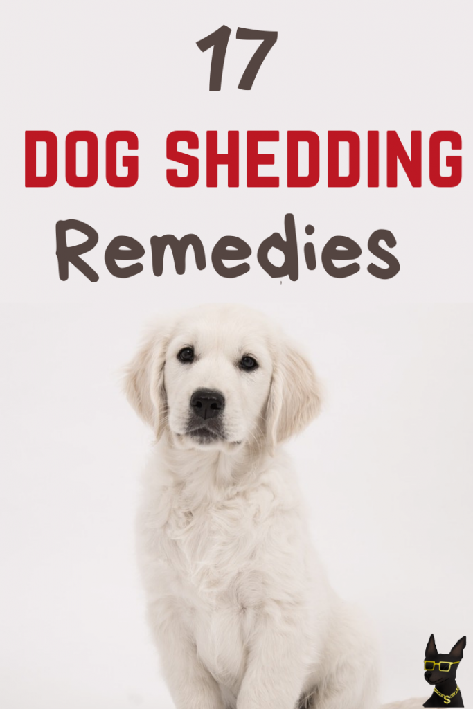 17 Dog Shedding Remedies | How to Make Your Dog Shed Less | YoCanine