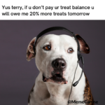 funny memes, dog memes