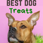 best amazon dog treats
